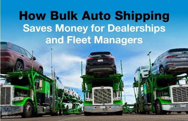 Dealer & fleet